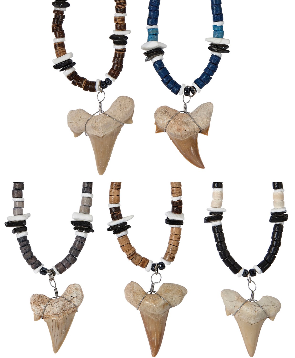 Coco W/Black Litob Pen Shell With Extra Large Shark Tooth Necklace Assorted ZXNK4350-XLG